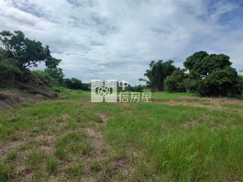 善化曾文溪旁優質農地房屋室內格局與周邊環境