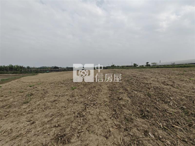 新市區東大社1098優質農地房屋室內格局與周邊環境