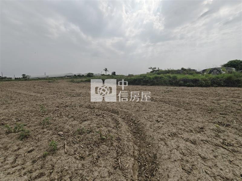 新市區東大社1098優質農地房屋室內格局與周邊環境