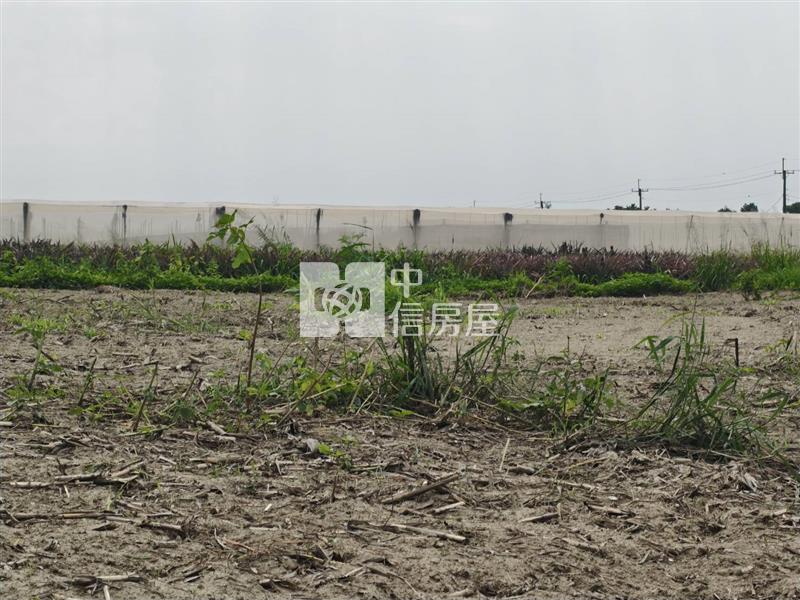 新市區東大社1098優質農地房屋室內格局與周邊環境