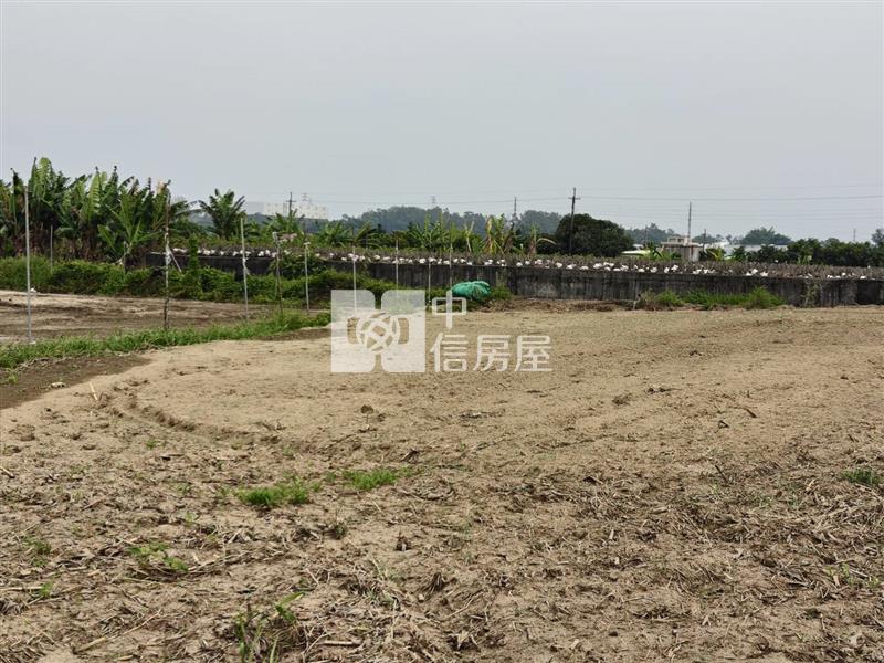 新市區東大社1098優質農地房屋室內格局與周邊環境