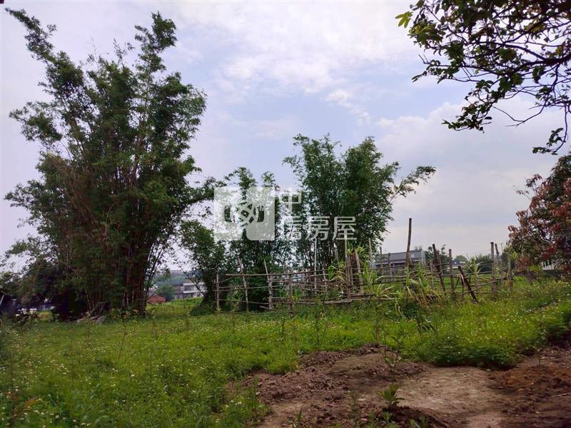 湖口八德路小農地房屋室內格局與周邊環境