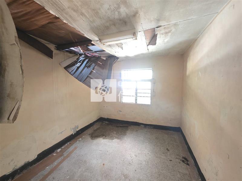 (專任)龍岡大操場超大地坪買地送屋房屋室內格局與周邊環境