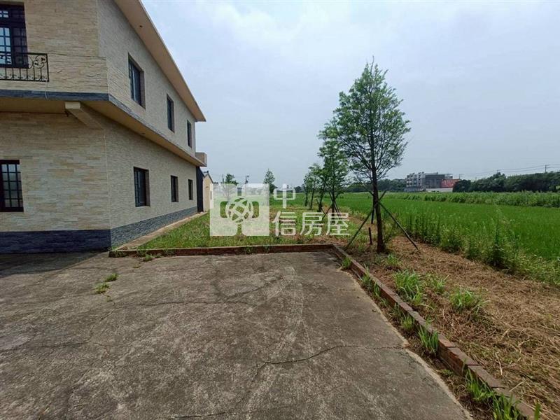 新屋中山西路(合法獨棟農舍+千坪農地)(中信卓越團隊)房屋室內格局與周邊環境