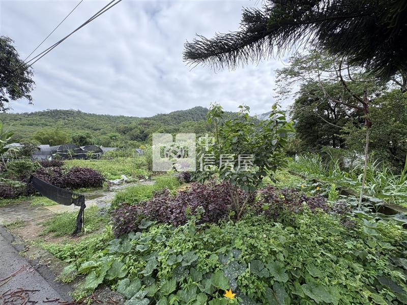福興農地房屋室內格局與周邊環境