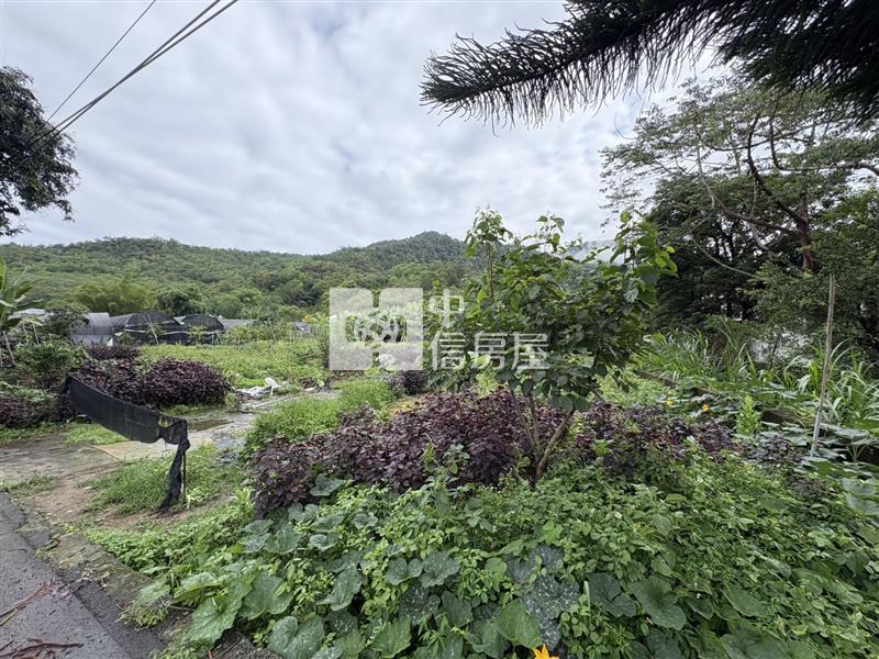 福興農地房屋室內格局與周邊環境