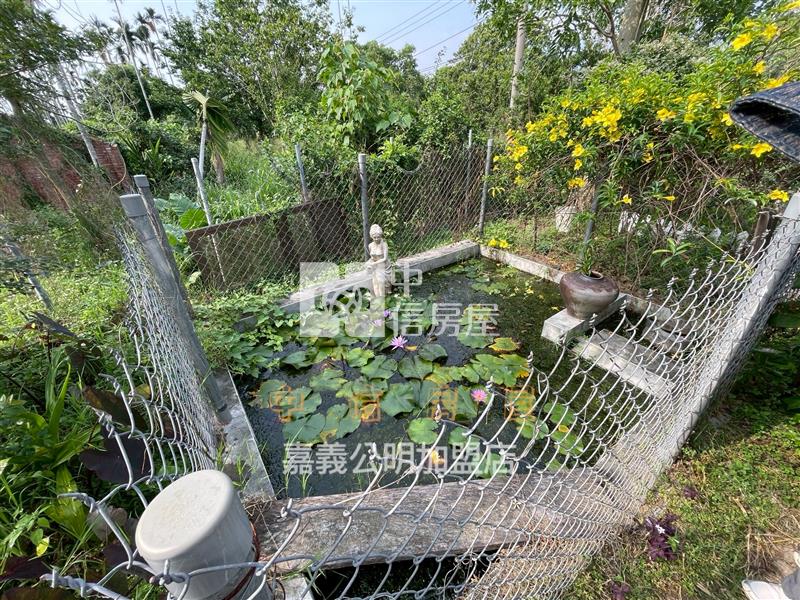 番路合法資材室開心農地房屋室內格局與周邊環境