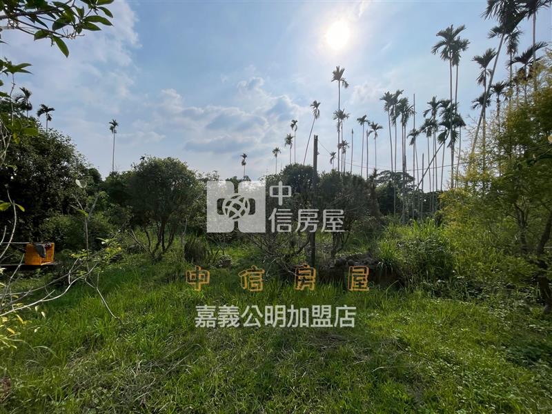 番路合法資材室開心農地房屋室內格局與周邊環境