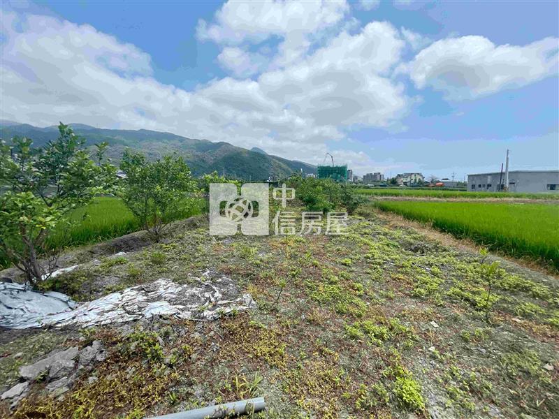 礁溪十六結挑高農業設施農地房屋室內格局與周邊環境