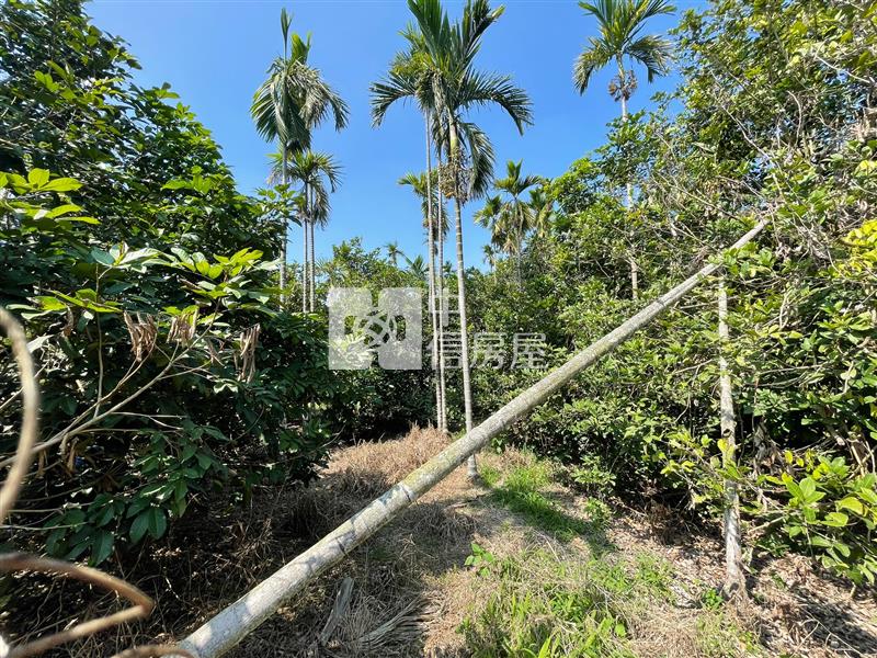 蕭家大院.高腳屋農地*專約*房屋室內格局與周邊環境