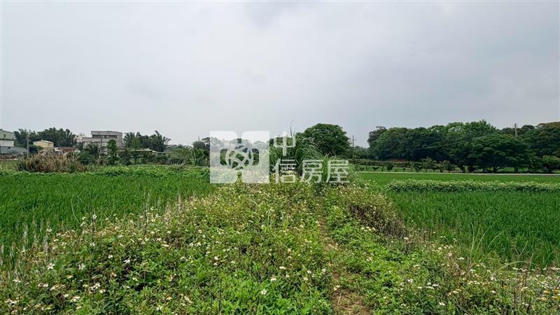 新屋圳禾路便宜農地房屋室內格局與周邊環境