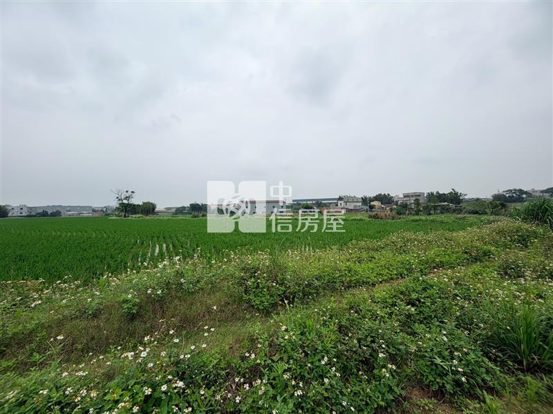 新屋圳禾路便宜農地房屋室內格局與周邊環境