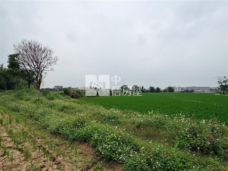 新屋圳禾路便宜農地房屋室內格局與周邊環境