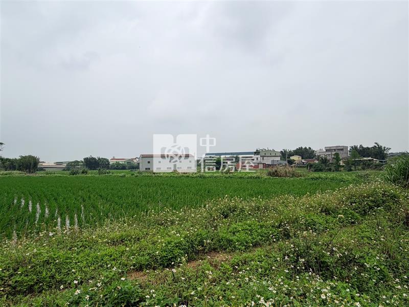 新屋圳禾路便宜農地房屋室內格局與周邊環境