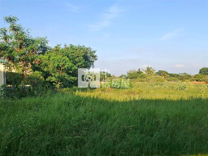 南區永成路二段旁多用途美地房屋室內格局與周邊環境