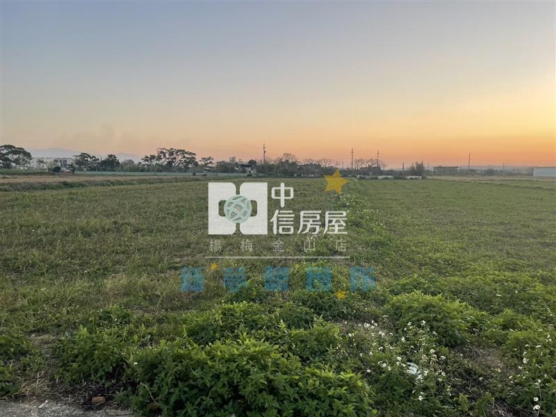 【新夢想】新豐美農地1房屋室內格局與周邊環境