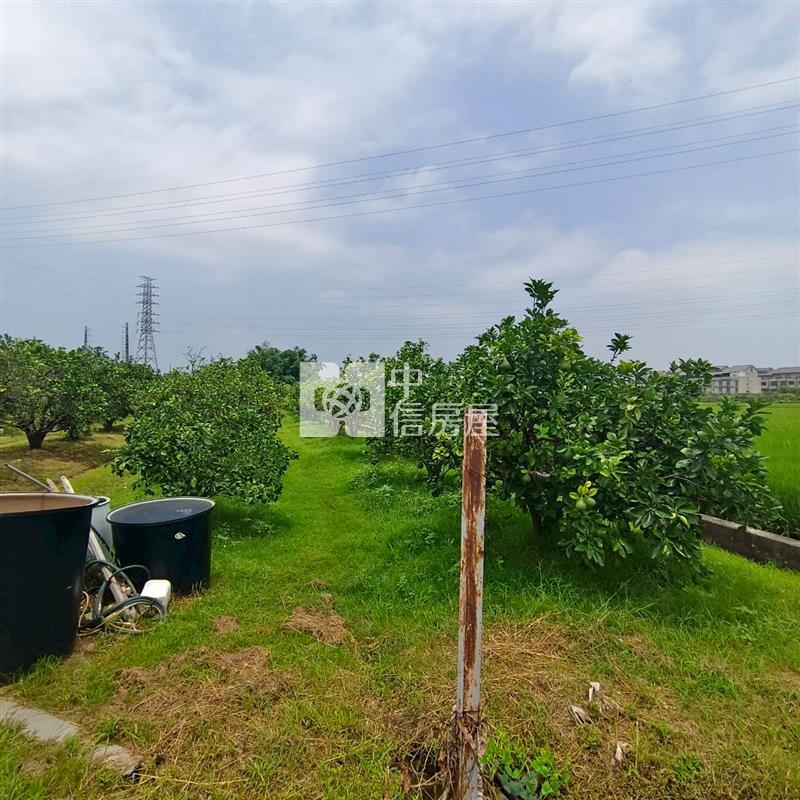 斗六九老爺臨路有電農地房屋室內格局與周邊環境