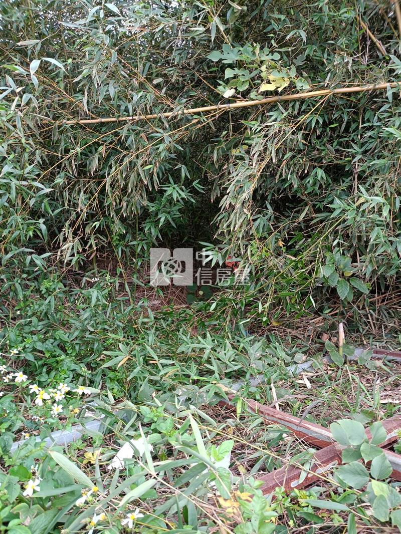 平鎮中庸段建+農+林土地房屋室內格局與周邊環境