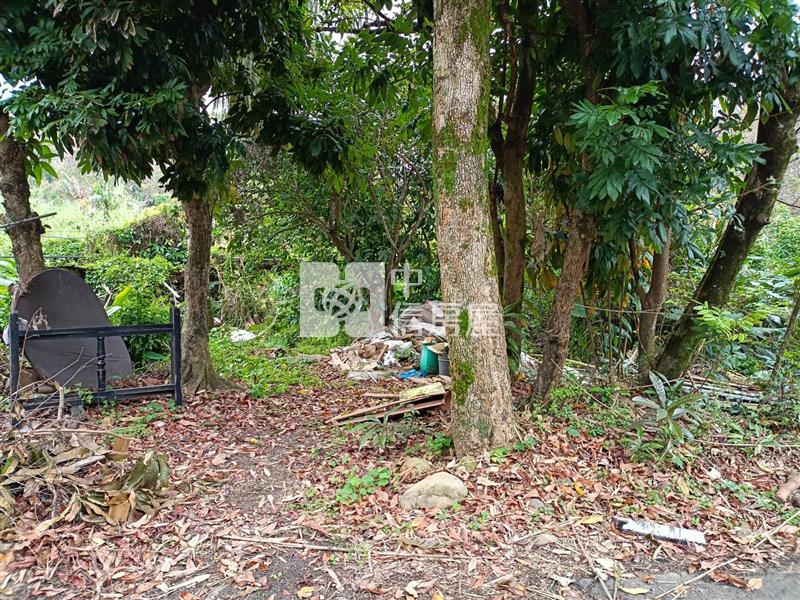 平鎮中庸段建+農+林土地房屋室內格局與周邊環境