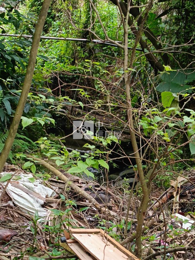 平鎮中庸段建+農+林土地房屋室內格局與周邊環境