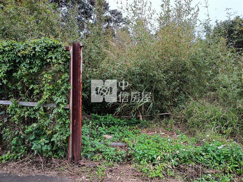 平鎮中庸段建+農+林土地房屋室內格局與周邊環境