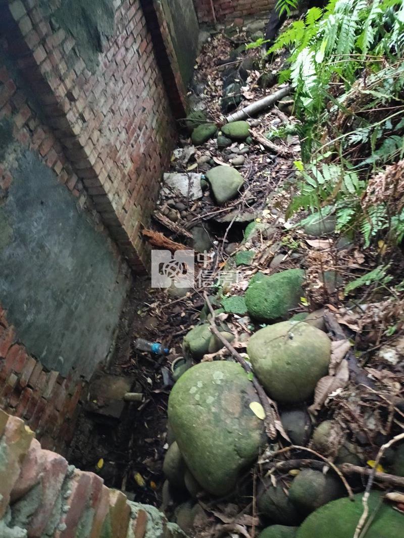 平鎮中庸段建+農+林土地房屋室內格局與周邊環境