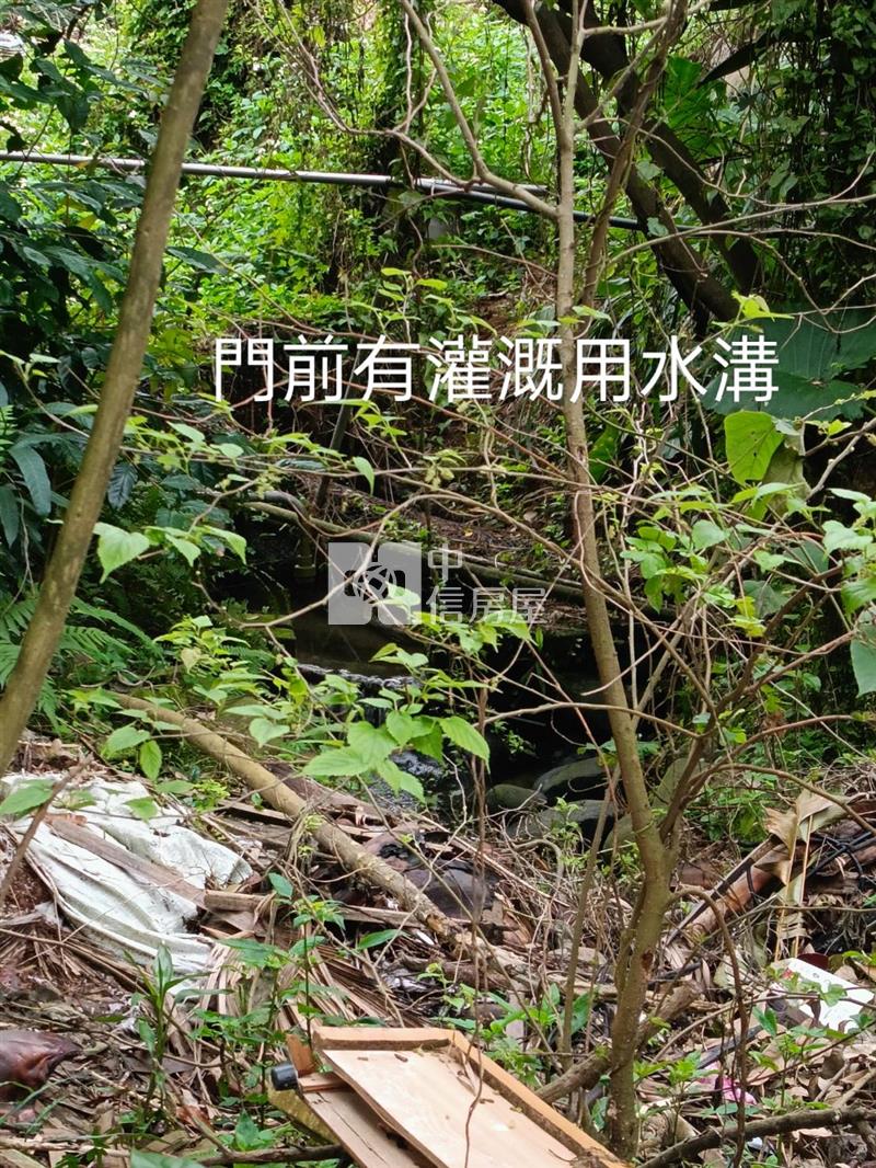平鎮中庸段建+農+林土地房屋室內格局與周邊環境