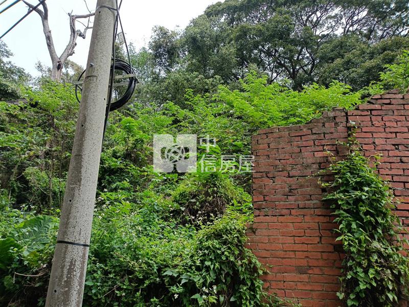 平鎮中庸段建+農+林土地房屋室內格局與周邊環境