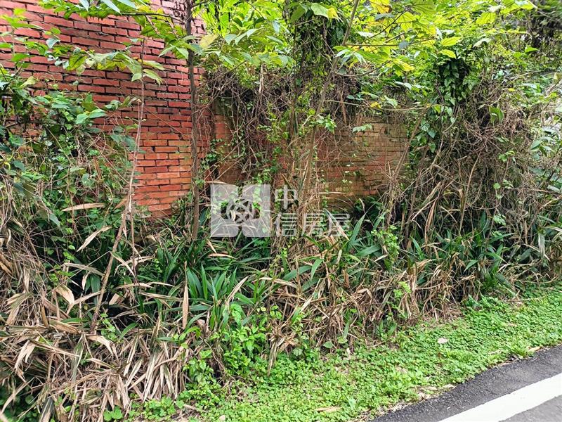 平鎮中庸段建+農+林土地房屋室內格局與周邊環境