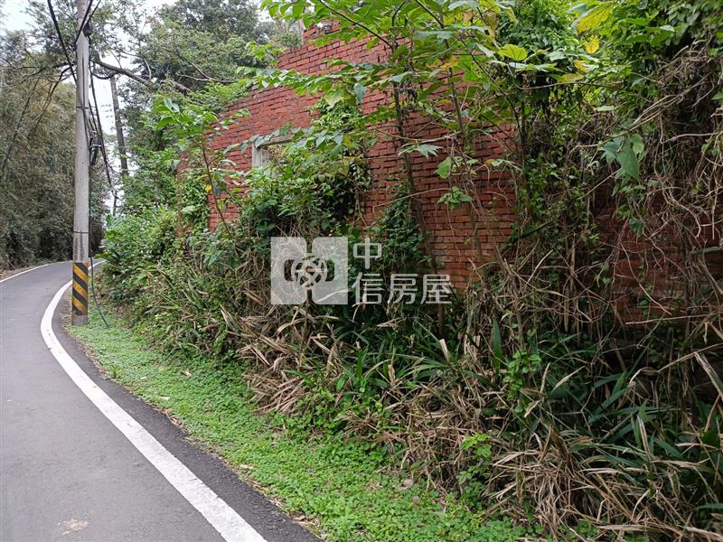 平鎮中庸段建+農+林土地房屋室內格局與周邊環境