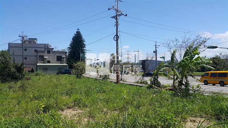 大溪區瑞安路旁大面寬農地房屋室內格局與周邊環境