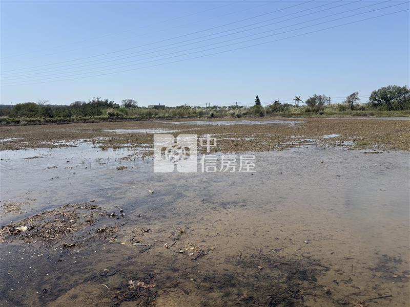 楊梅大面寬臨6米前後臨路特農房屋室內格局與周邊環境