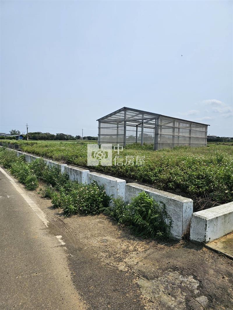 新屋社子超值農業設施溫室房屋室內格局與周邊環境