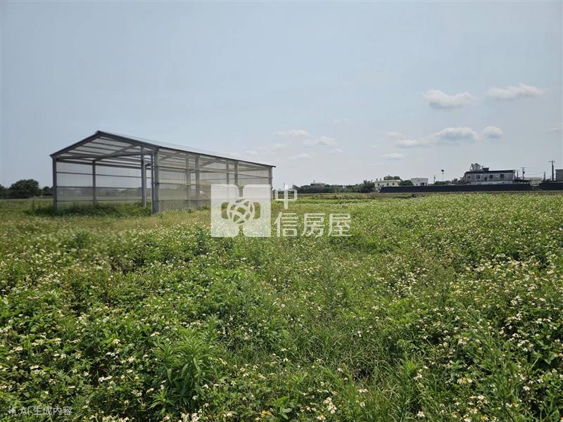 新屋社子超值農業設施溫室房屋室內格局與周邊環境
