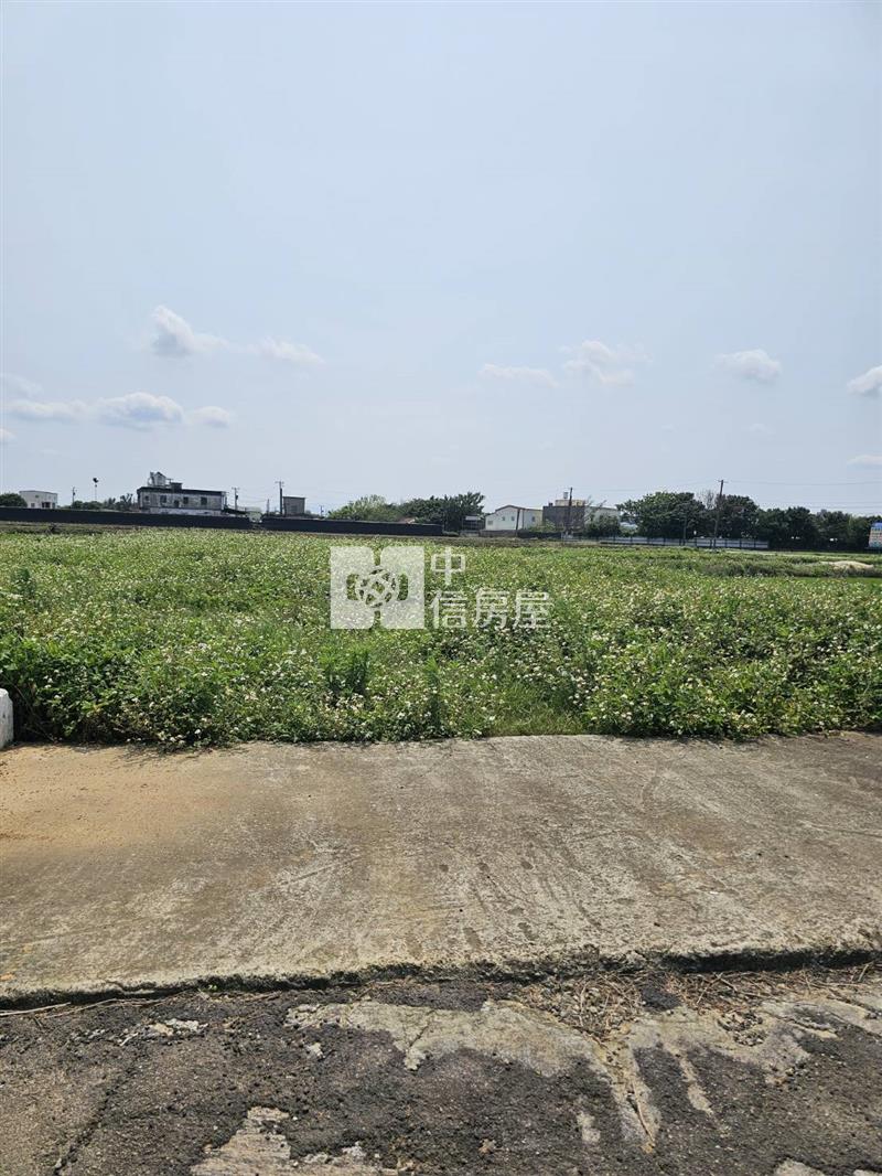 新屋社子超值農業設施溫室房屋室內格局與周邊環境