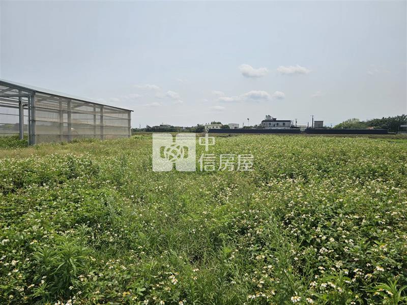 新屋社子超值農業設施溫室房屋室內格局與周邊環境