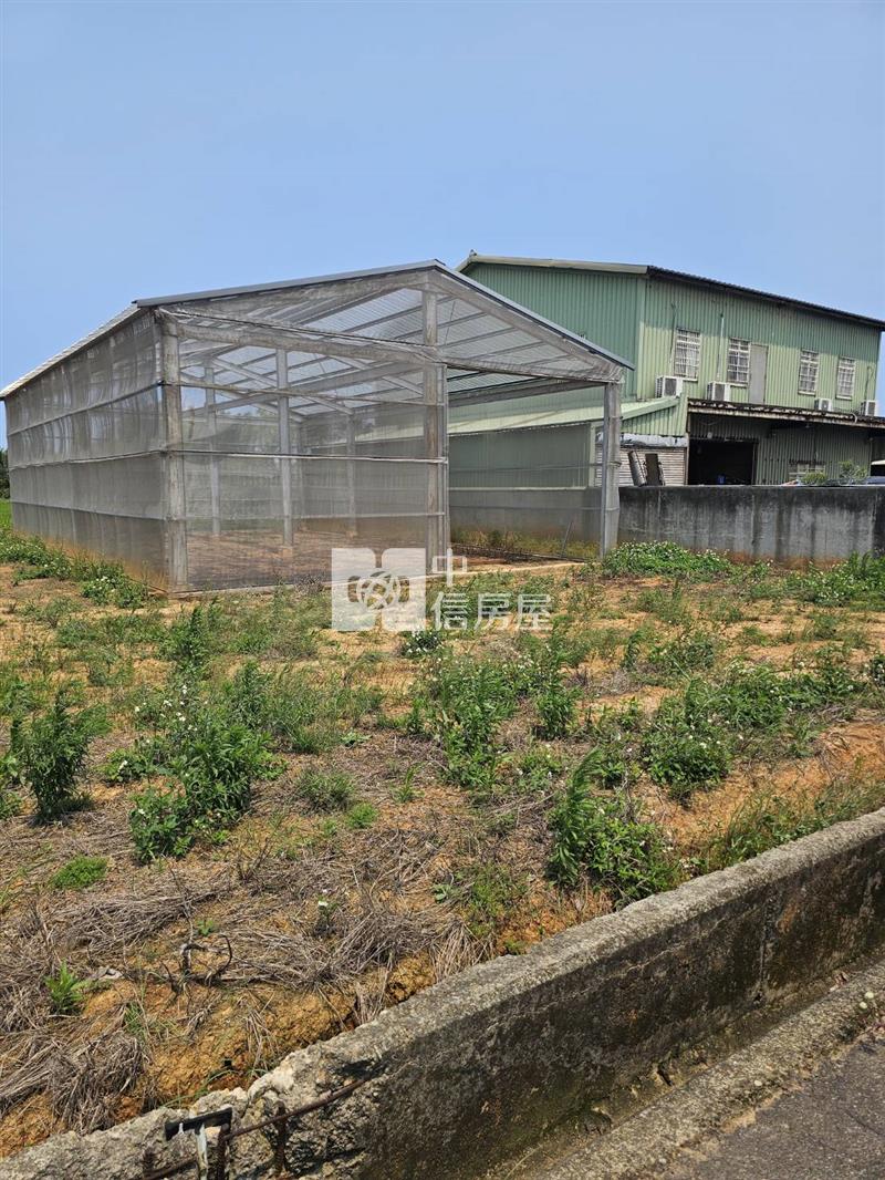 新屋社子國小農業設施溫室房屋室內格局與周邊環境