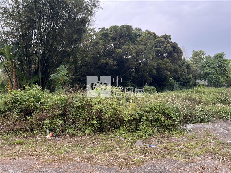 大溪福山路持分農地房屋室內格局與周邊環境