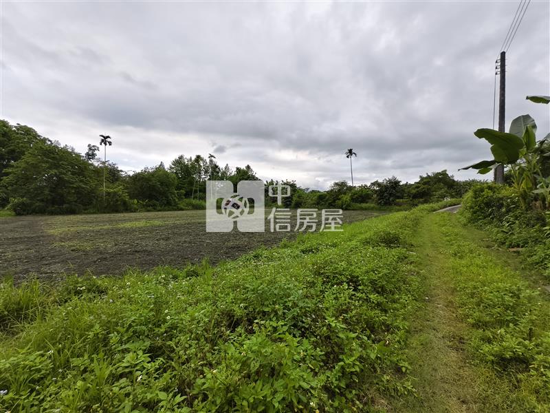 (專)花蓮壽豐台九線旁超值農地房屋室內格局與周邊環境