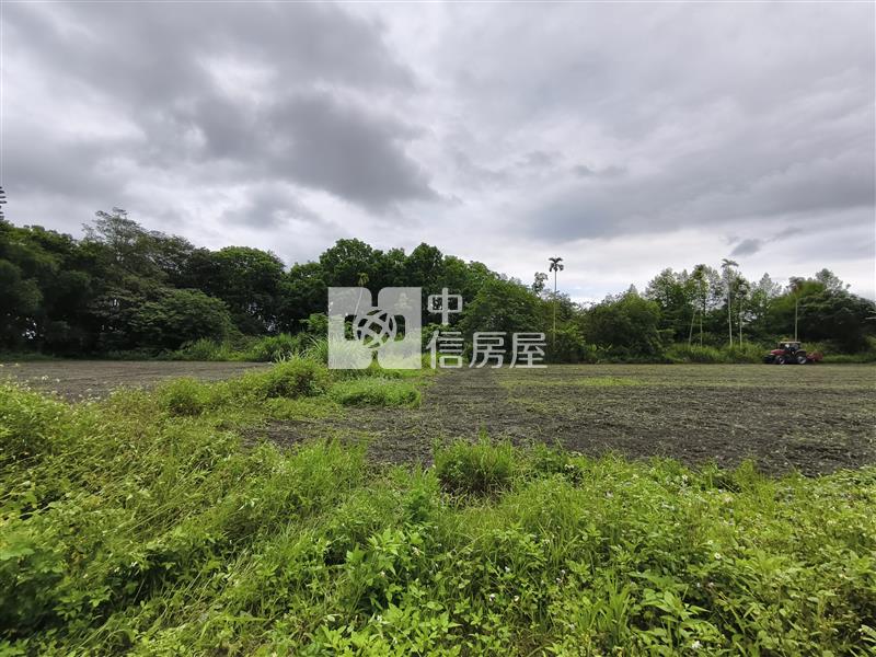 (專)花蓮壽豐台九線旁超值農地房屋室內格局與周邊環境