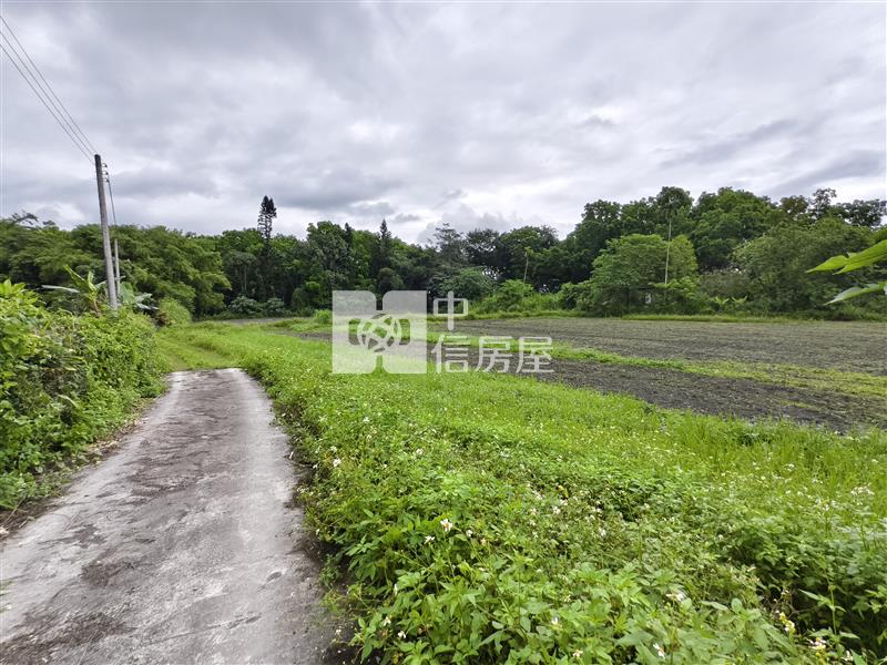 (專)花蓮壽豐台九線旁超值農地房屋室內格局與周邊環境