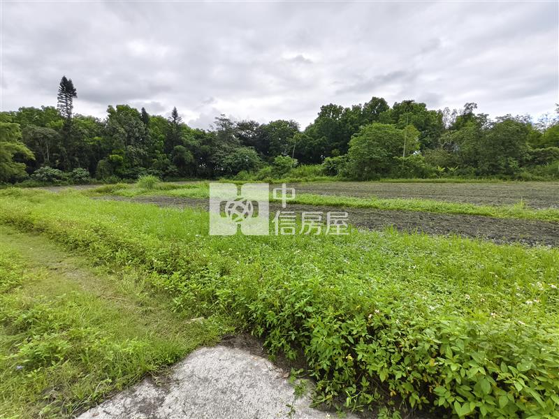 (專)花蓮壽豐台九線旁超值農地房屋室內格局與周邊環境
