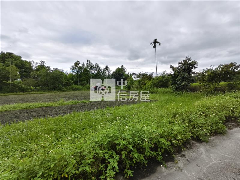 (專)花蓮壽豐台九線旁超值農地房屋室內格局與周邊環境