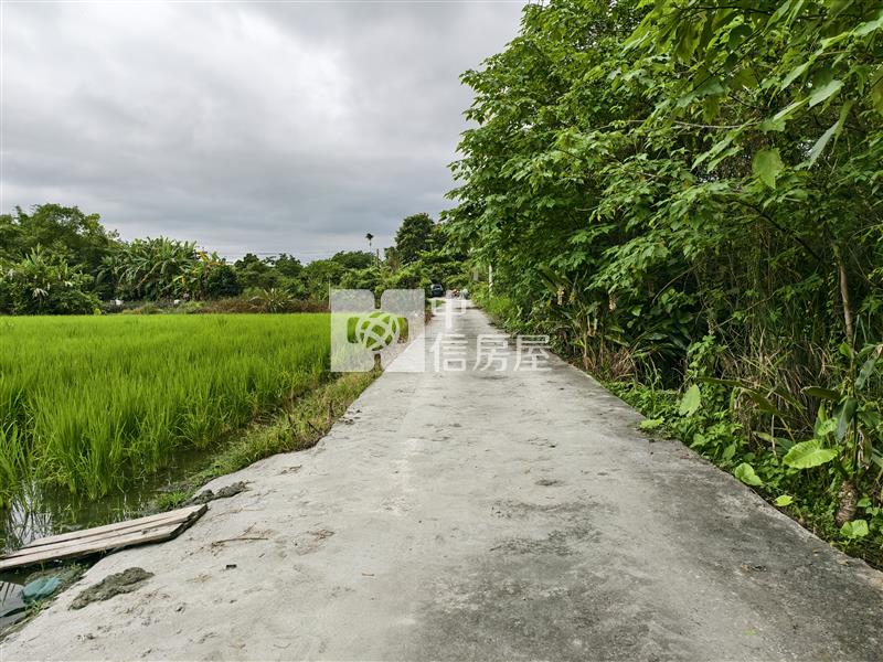 (專)花蓮壽豐台九線旁超值農地房屋室內格局與周邊環境