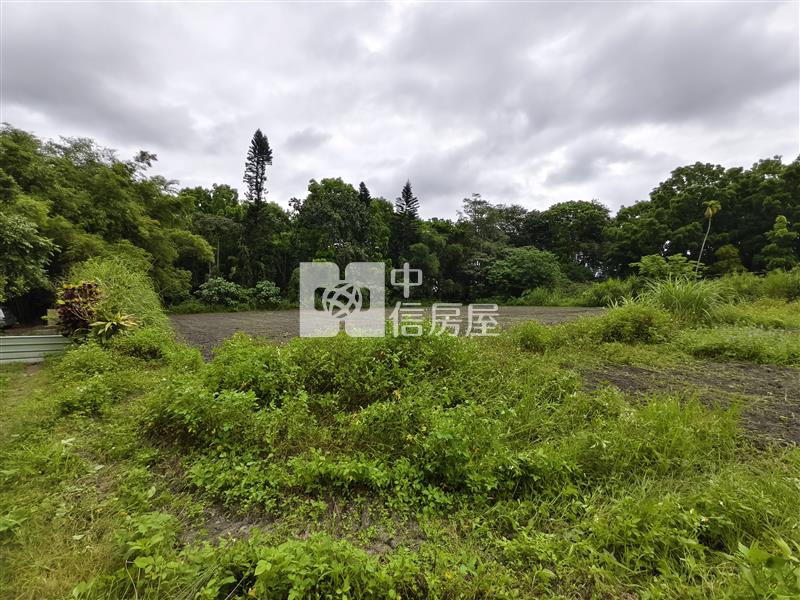(專)花蓮壽豐台九線旁超值農地房屋室內格局與周邊環境