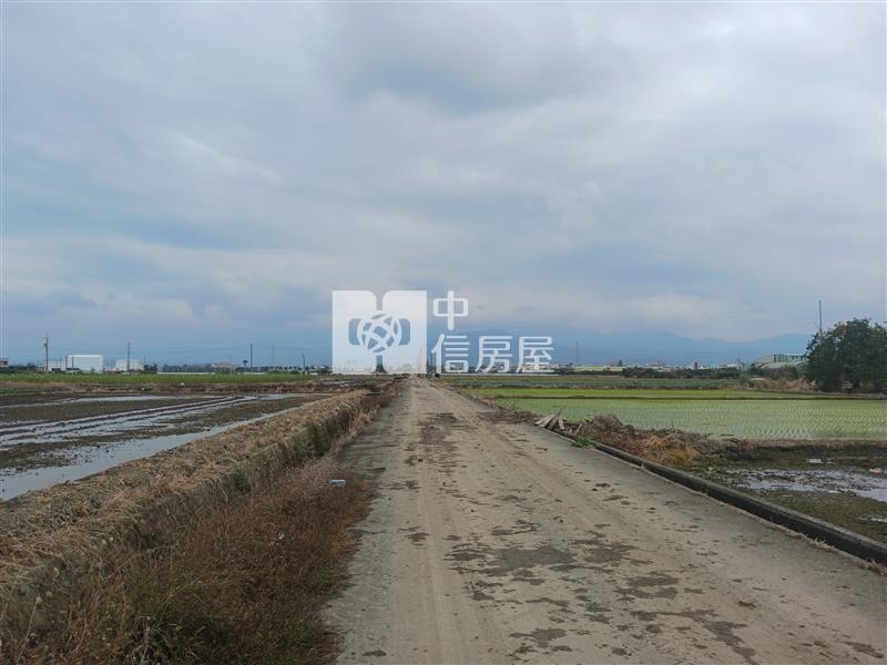 白河都內農744坪大面寬房屋室內格局與周邊環境