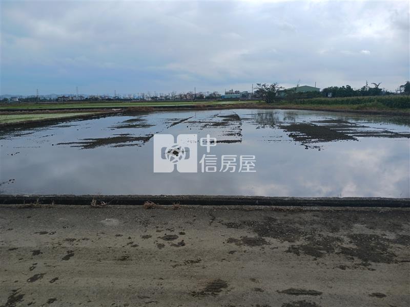 白河都內農744坪大面寬房屋室內格局與周邊環境