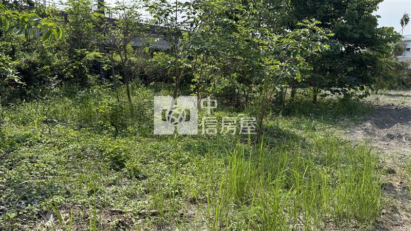 竹田火車站便宜農地*專約*房屋室內格局與周邊環境