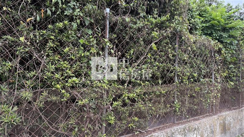 竹田火車站便宜農地*專約*房屋室內格局與周邊環境