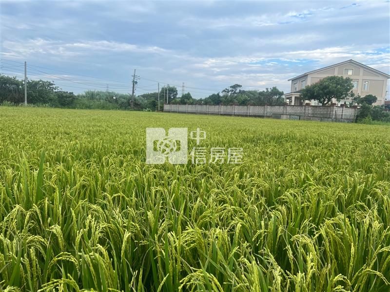 楊梅楊湖路二段美農地房屋室內格局與周邊環境